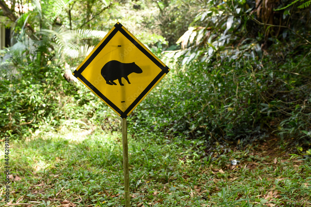 Warning sign of the presence of the endemic animal guatin of the valle del cauca, cali colombia
