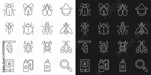 Set line Magnifying glass, Butterfly, Bee, Insect, Mite, Spider, Chafer beetle and Termite icon. Vector