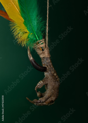 Chicken foot amulet with multi-colored feathers. Dried rooster's leg with a large spur. Magic amulet for protection from evil spirits.