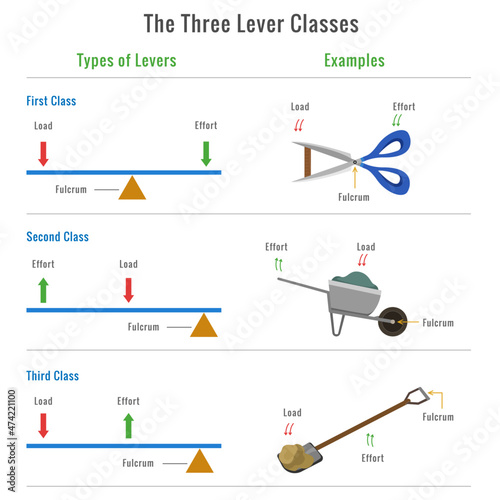 Different types of levers with examples vector illustration