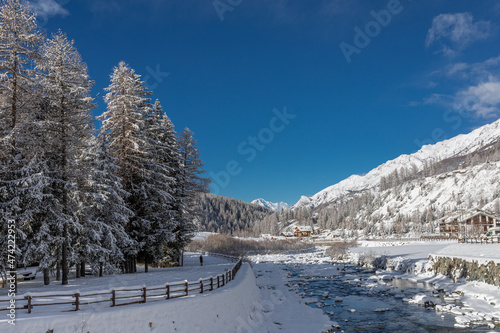 Quadro su tela Winter landscape with snow and frosted pine tree forest during sunny day with clear blue sky