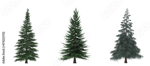 Green Pine  christmas tree isolated on white background. Banner design  3D illustration  cg render