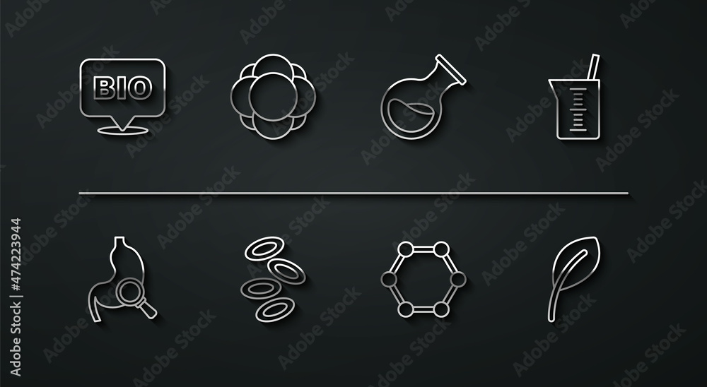Set line Bio healthy food, Stomach with magnifying glass, Laboratory glassware or beaker, Molecule, Hemoglobin, Leaf leaves and Test tube and flask icon. Vector Set line Bio healthy food, Stomach with magnifying glass, Laboratory glassware or beaker, Molecule, Hemoglobin, Leaf leaves and Test tube and flask icon. Vector