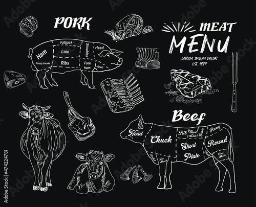Vintage Butcher shop hand - drawn. Retro Menu Restaurant poster. Vector. Fresh meat products. Design element for poster, menu, flyer, banner, package.