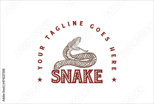 Vintage Retro Viper Cobra Anaconda Boa Snake Logo Design Vector