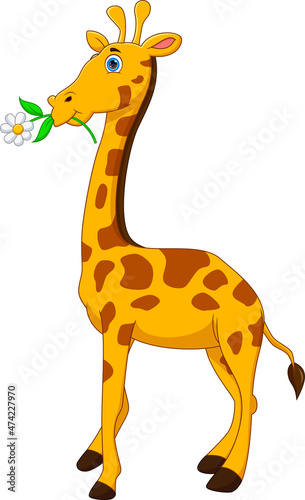 cartoon cute giraffe on white background