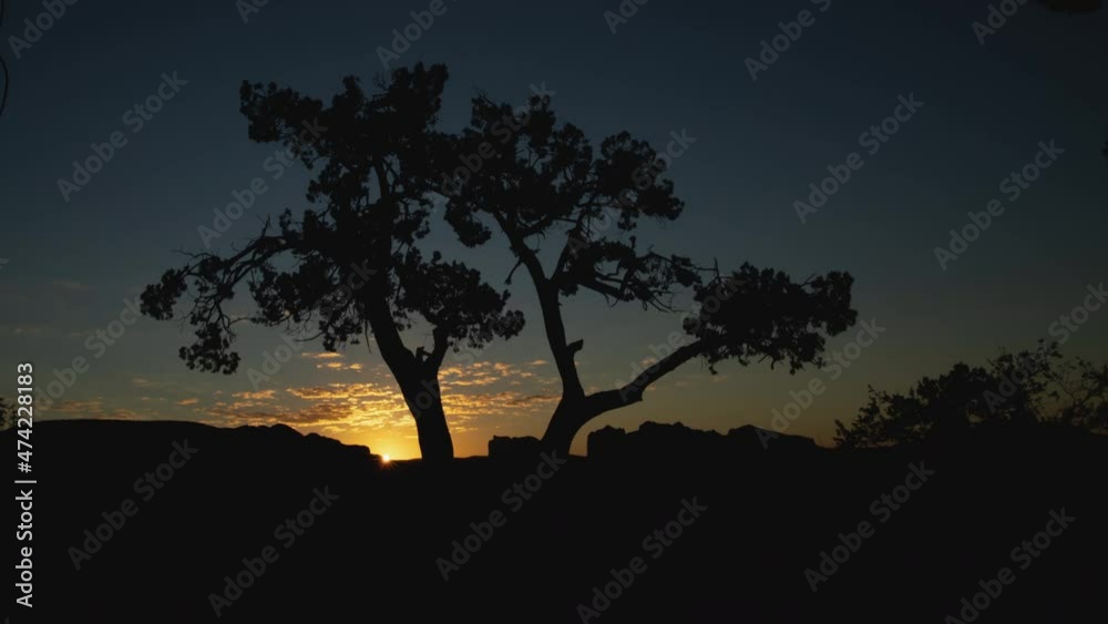 Brilliant Sun Rises Behind Twisted Old Juniper Time Lapse Brilliant Sun Rises Behind Twisted Old Juniper Time Lapse