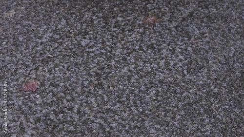 Rain and Hail Downpoor on a rocky ground in slow motion. Taken in Vancouver, BC, Canada, during the stormy weather in November. photo