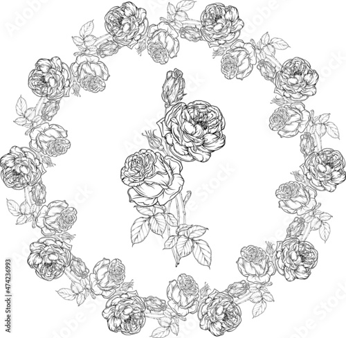 Wallpaper Mural Floral set with black and white delicate flowers. Romantic set Torontodigital.ca