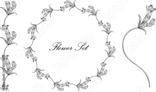 Floral set with black and white delicate flowers. Romantic set