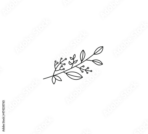 Vector isolated simple flora minimalism line drawing bouquet