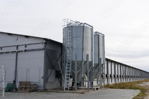 large scale commercial chicken farm with two grain storage silos for the storage of poultry feed
