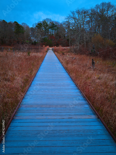 Fototapeta Naklejka Na Ścianę i Meble -  Strange boardwalk over the marshland in the forest on Cape Cod in winter. Peaceful empty footpath in the swampy meadow. Abstract geometry and diminishing perspective of the wooden walkway.