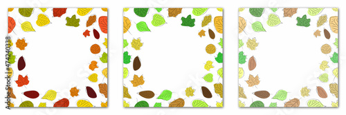 Collection of season frame border leaves. Vector