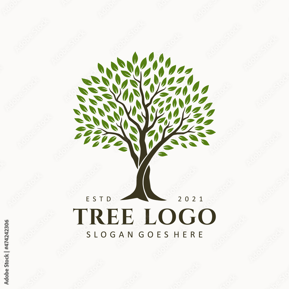 Obraz premium Abstract tree logo design illustration