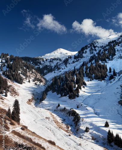 Landscape of snowy winter mountains