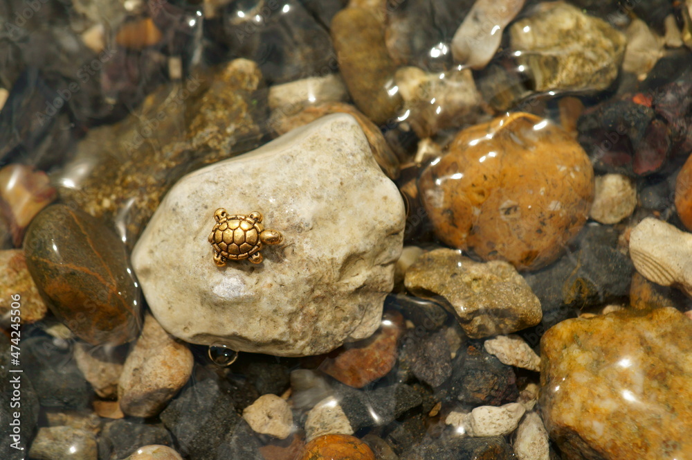 The figure of a small turtle on a stone. The river bank.