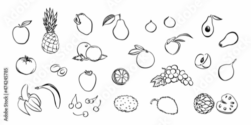 Hand drawn stylized fruit set. Vector collection isolated on white background. Graphic illustration for logo or icon