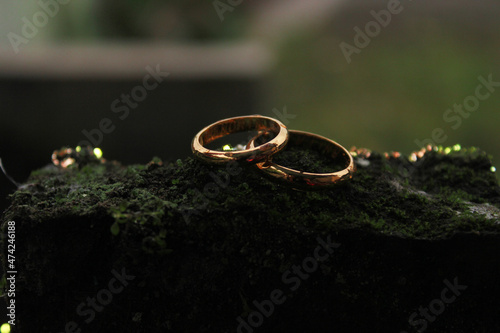 Wedding rings symbol love family. A pair of simple wedding rings, wear a ring