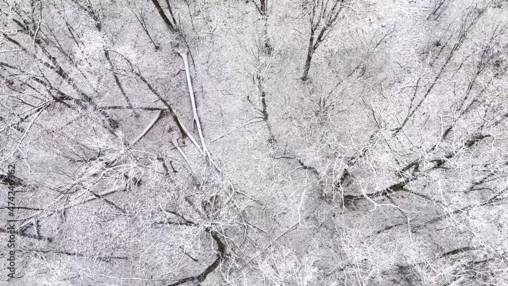 Snow covered wilderness tree branches after blizzard, low and cinematic frosty forest flyover.
Snow covered wilderness tree branches after blizzard, low and cinematic frosty forest flyover.