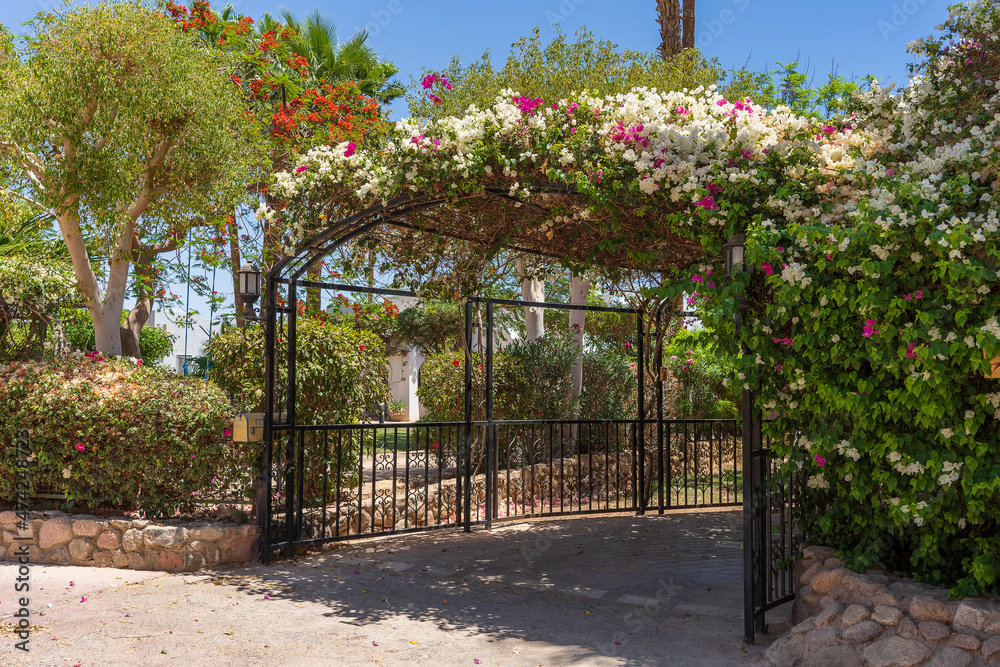 Parking for a car in the yard near the house in the form of an arch with garden flowers, Sharm El Sheikh, Egypt, Africa