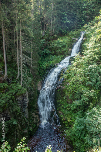 small mountain waterfalls inside forest
