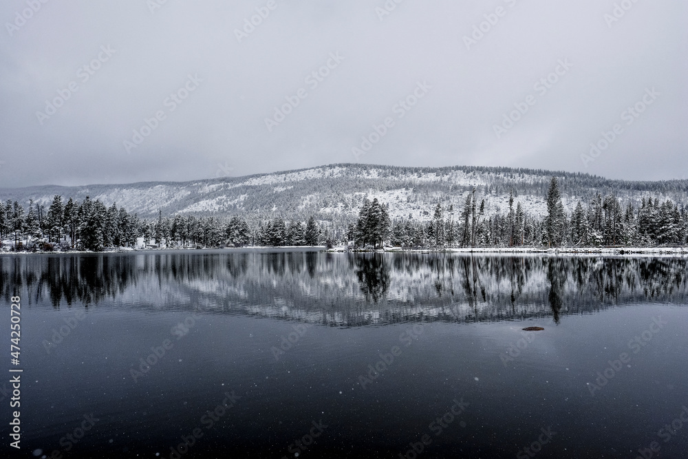 Winter Landscape At Rocky Mountain National Park