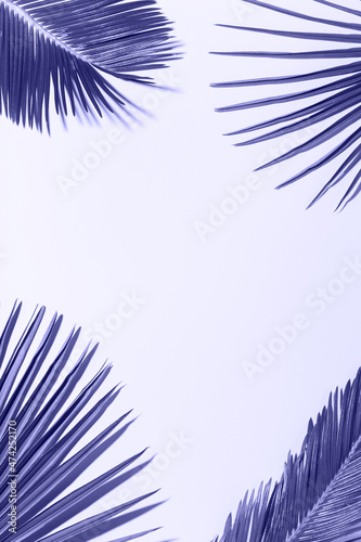 Wallpaper Mural Tropical palm leaves background, vacation summer holiday concept Torontodigital.ca