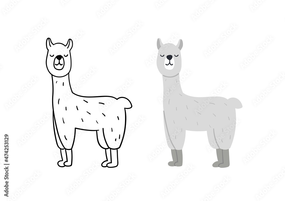Cute hand drawn alpaca. Animal lama vector illustration. Cute hand drawn alpaca. Animal lama vector illustration.