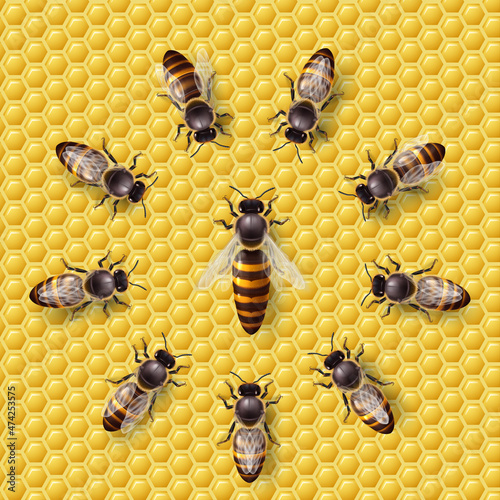 Realistic Bee Queen Mother on a Honeycomb and Bee Workers Around Her - Life of Bee Colony Simple Icon. Macro Insect, Concept of Food Industry, or Beekeeping