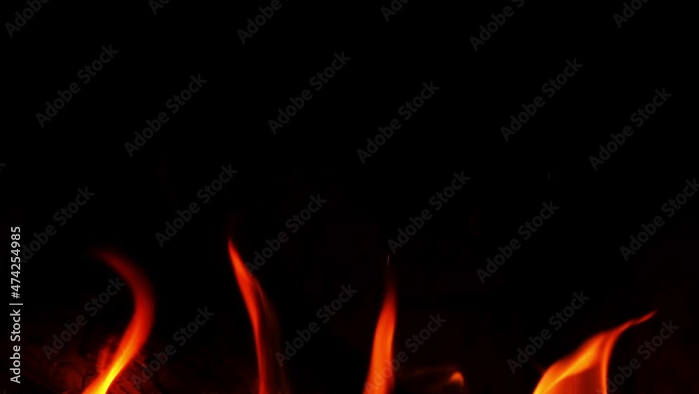 Tongues of the fire are trembling on the black background filmed in macro and slow motion. Bright vibrant ignition is burning. Sparkling hot embers are glowing in the darkness. Power of the combustion Tongues of the fire are trembling on the black background filmed in macro and slow motion. Bright vibrant ignition is burning. Sparkling hot embers are glowing in the darkness. Power of the combustion