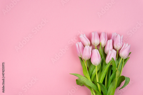 Bouquet of pink tulips on a pink background. Romantic concept. Valentine's Day, Women's Day, Mother's Day, Birthday. Copy space. Top view © Atlas