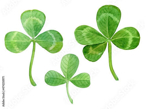 A set of clover leaves - four-leaf and three-leaf. Watercolor botanical illustration isolated on a white background.