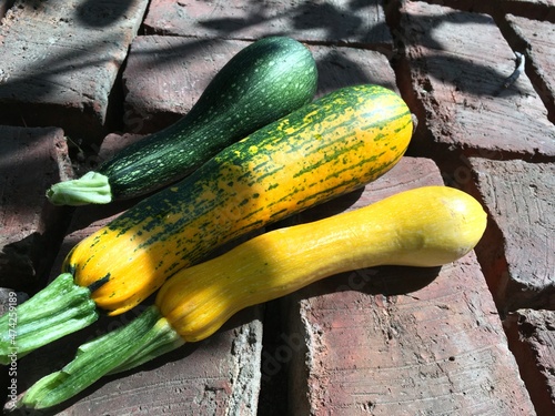 yellow courgette and green zucchini
