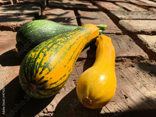 yellow courgette and green zucchini