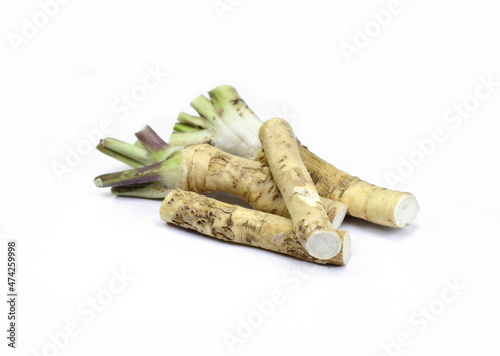 Horseradish root isolated on white background.