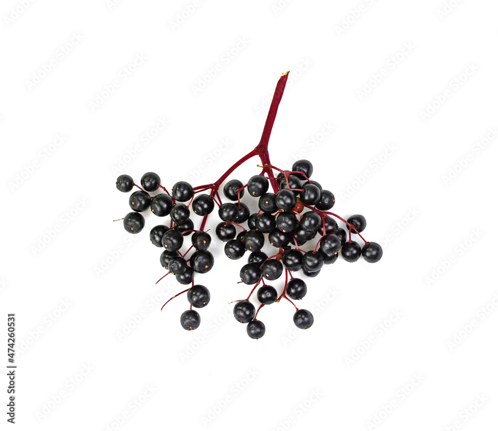 Twig with elderberries and a leaf lying on a white background. resh fruit black elderberry herb. Twig with elderberries and a leaf lying on a white background. resh fruit black elderberry herb.