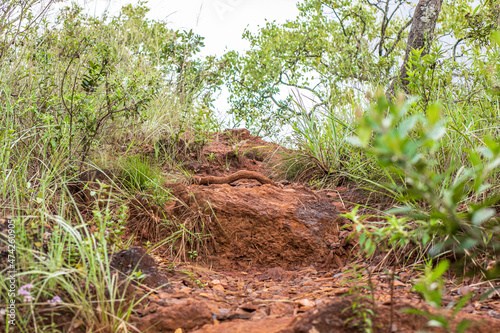 Partial view of the trails of Serra do Curral Park