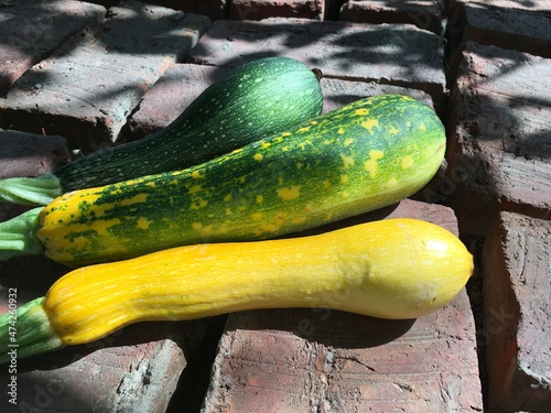 yellow courgette and green zucchini