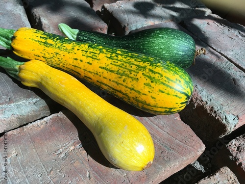 yellow courgette and green zucchini