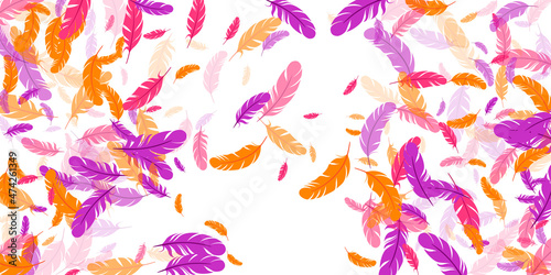 Orange purple pink red feather floating background