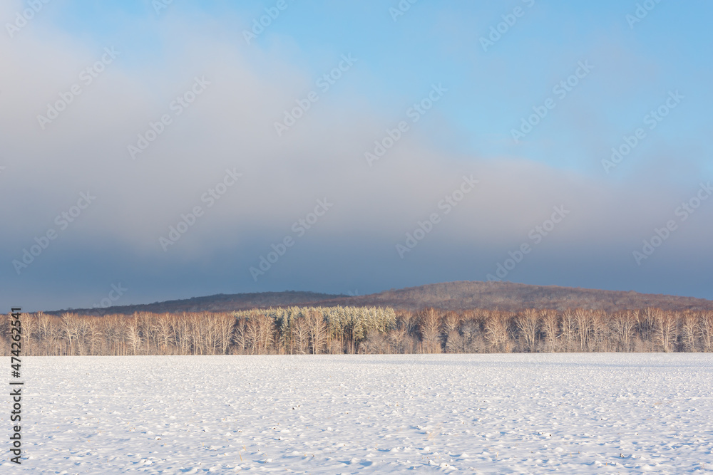 Snowy field and forest. Beautiful clouds in winter.