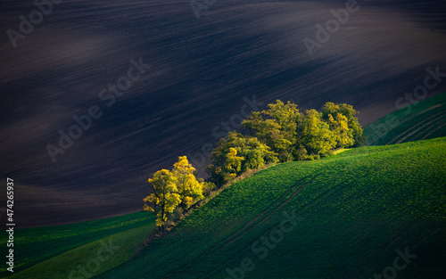Tableau sur toile Moravia Magna 8