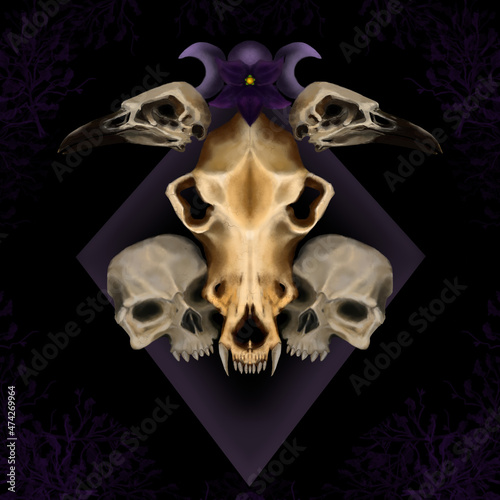 digital painting of wolf skulls, raven skulls, and humanoid skulls.