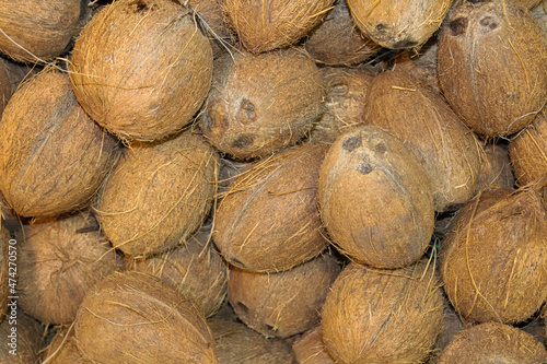 Lots of big hairy brown coconuts exotic ripe fruits collected in a box for sale in the market