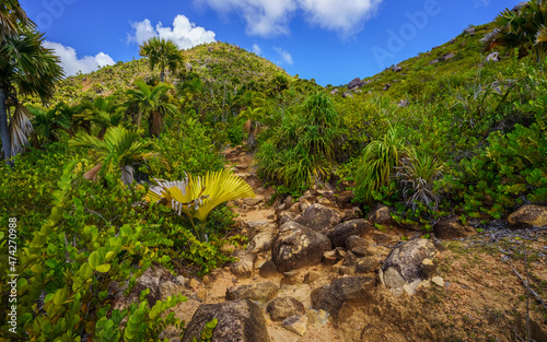 hikink through the jungle on curieuse island on the seychelles