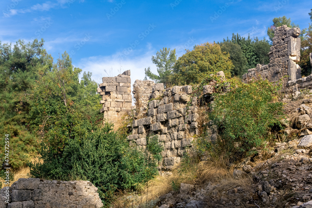 ruins of antique building among the forest in the ancient city of Phaselis, Turkey