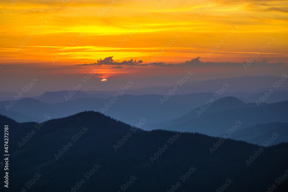 scenic summer sunrise landscape, breathtaking morning dawn in Carpathian mountains, meadow, beech forest and hills, scenic nature image, Europe, Ukraine, discover wonderful world