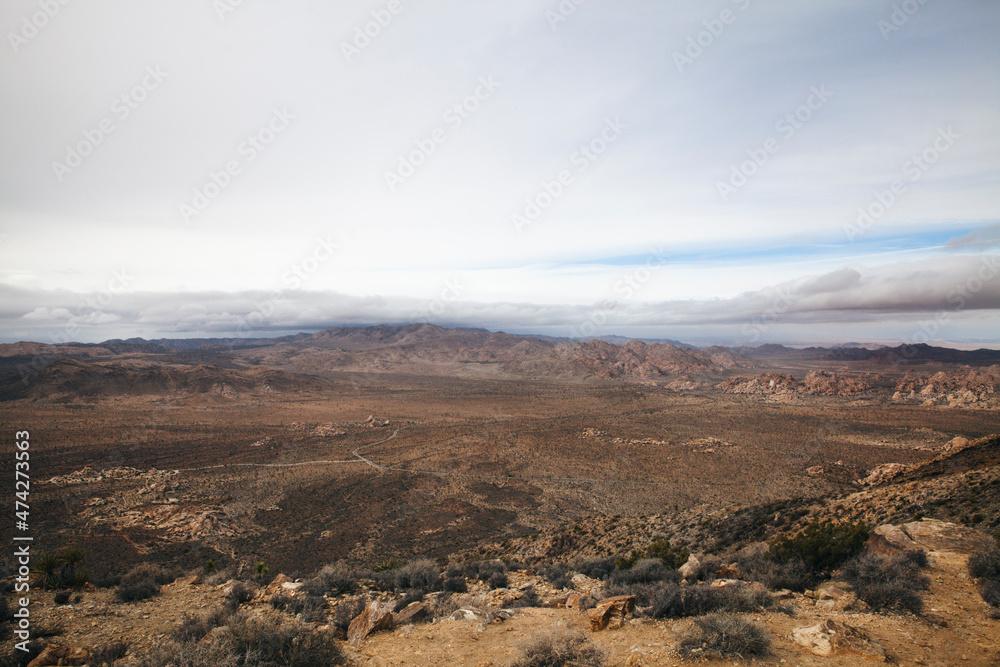 Fototapeta premium View of mountains and road in Joshua Tree, California