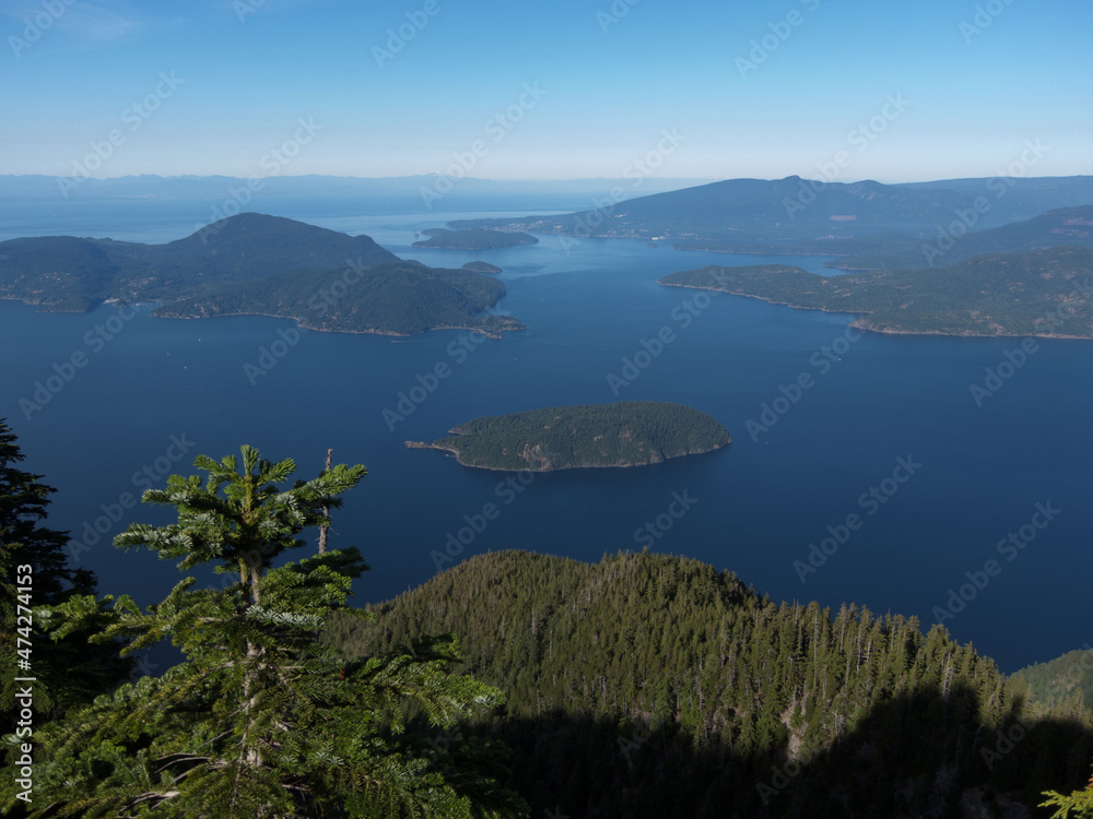 From the lookout From the lookout